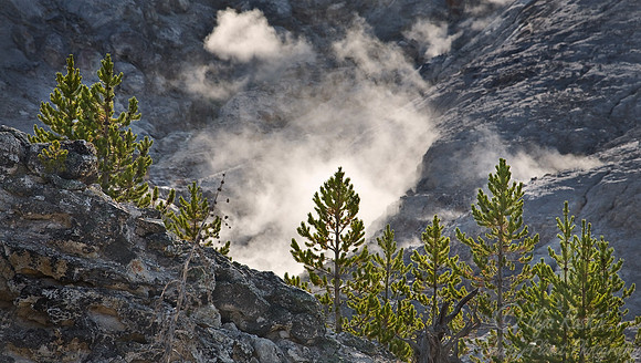 035_Yellowstone National Park