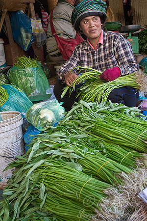 002  Siem Reap - Cambodia