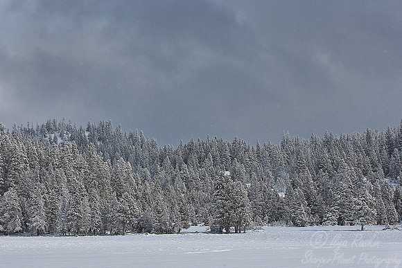 058_Yellowstone in winter