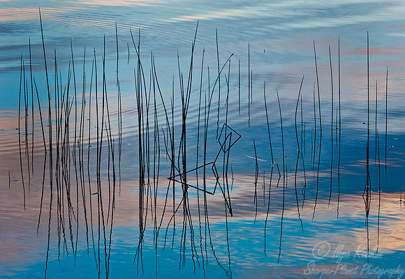 081_Northern Michigan