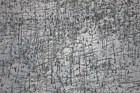 062_Yellowstone in winter