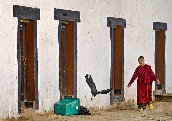 006_Thimphu Region_Bhutan