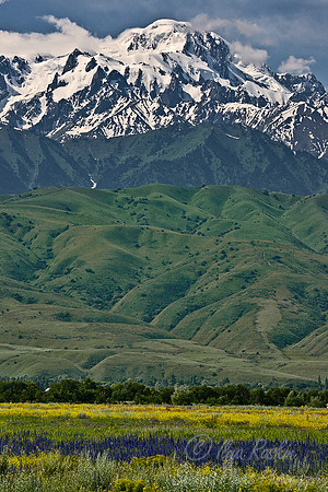 058 Central Tien-Shan - Kazakhstan