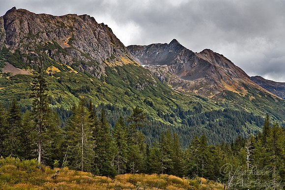 013_Seldovia_AK