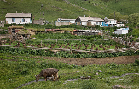 069 Eastern Tien-Shan - Kazakhstan