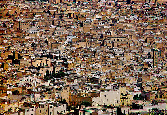 024_Fes_Morocco