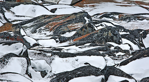 023_Coast Line_Churchill_MB_Canada