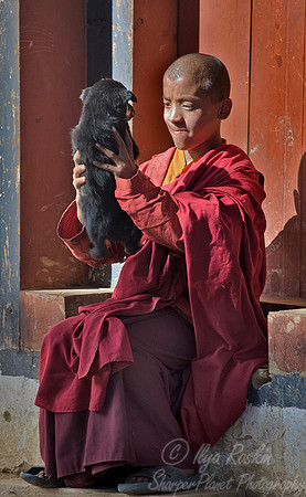 004_Thimphu Region_Bhutan