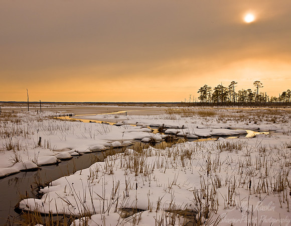 045_Blackwater National Wildlife Refuge_MD