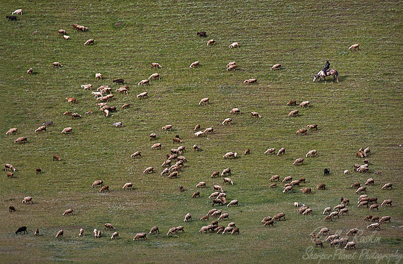 082 Eastern Tien-Shan - Kazakhstan