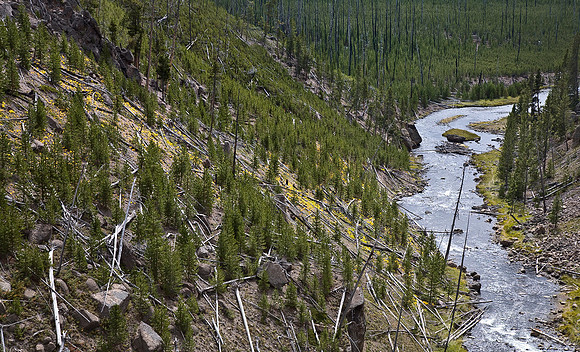 025_Yellowstone National Park