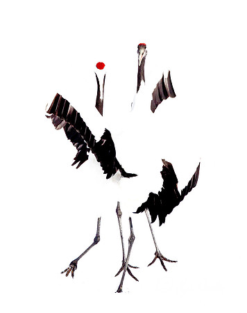 075 Red-crowned Cranes (Grus japonensis) - Hokkaido Japan
