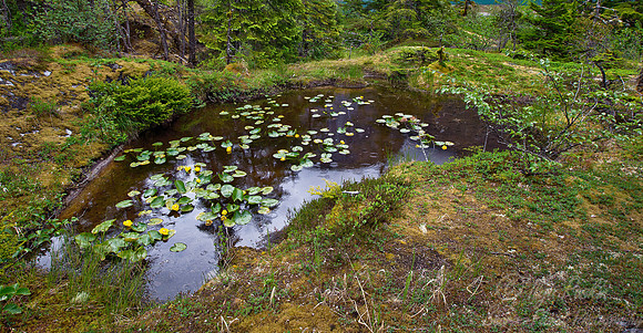 116 Inside Passage - AK