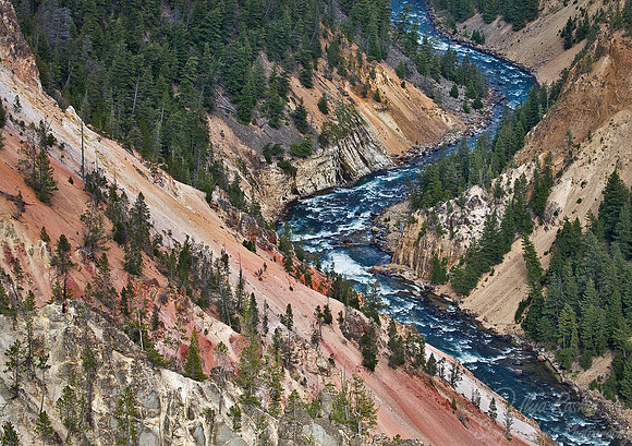 026_Yellowstone National Park