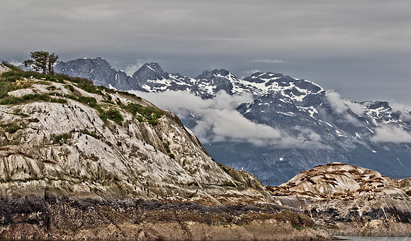 092 Glacier Bay - AK