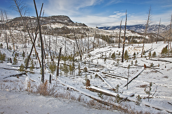 044_Yellowstone in winter