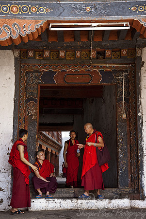 039_Punakha Dzong_Bhutan