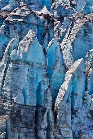 089 Glacier Bay - AK