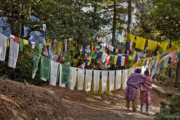 063_Paro Region_Bhutan