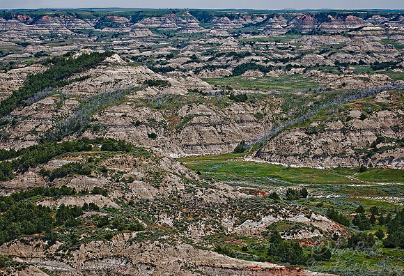 073_T Roosevelt NP_ND
