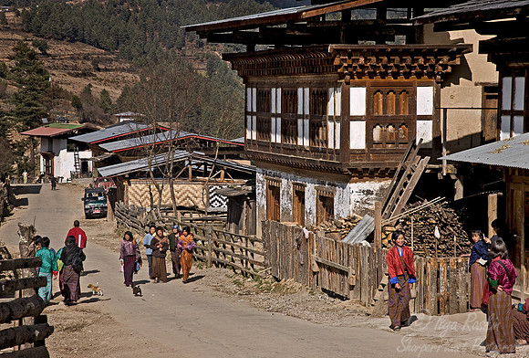 036_Wangdi & Gangtey Region_Bhutan