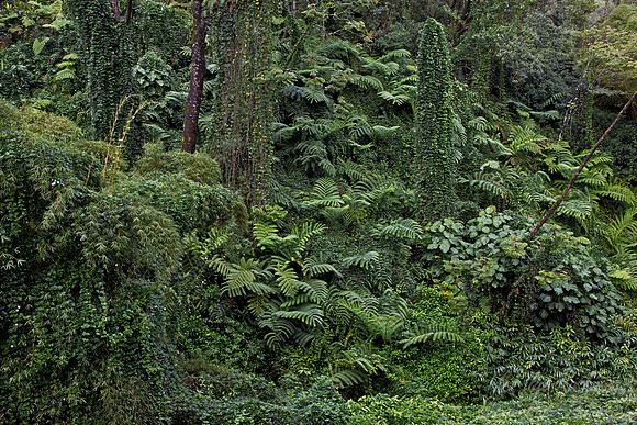 009 Big Island - HI